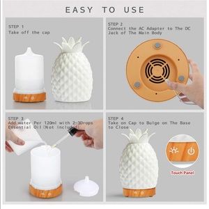 Pineapple Diffuser